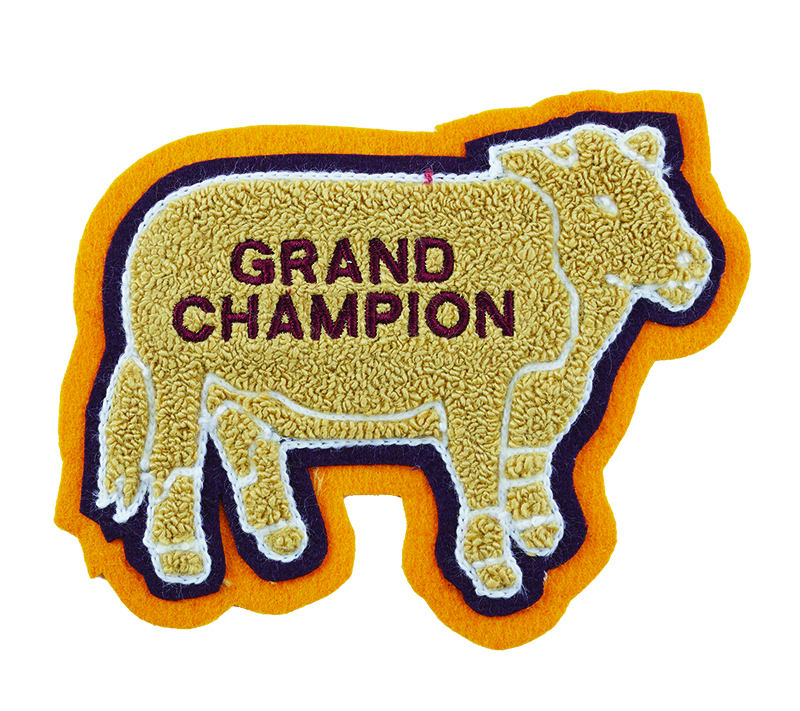 Bull - Academic Sleeve Patch